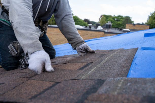 Best Flat Roof Repair Services  in Maumelle, AR